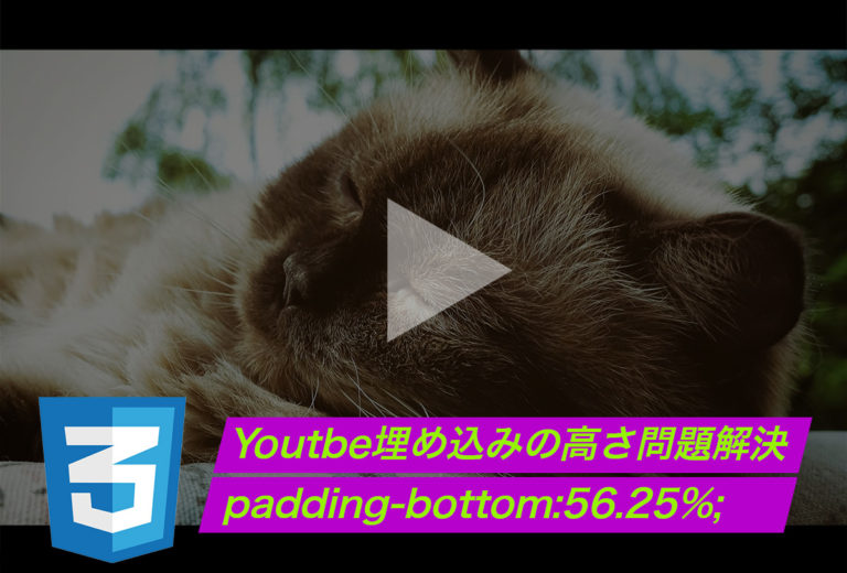 Youtube埋め込みの高さ問題解決！Padding-bottom:56.25%